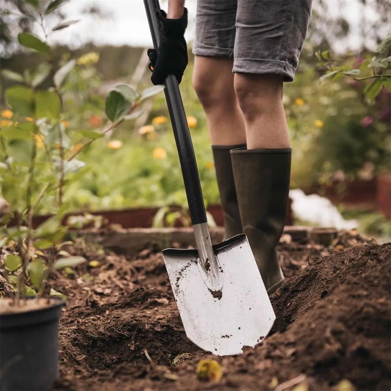 _Spaten Gartengeräte