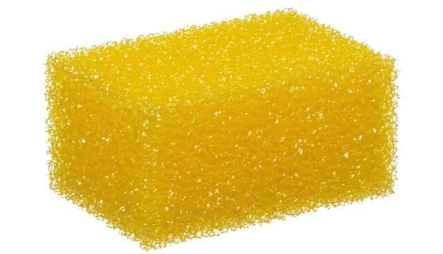 _Insektenschwamm Insektenschwämme