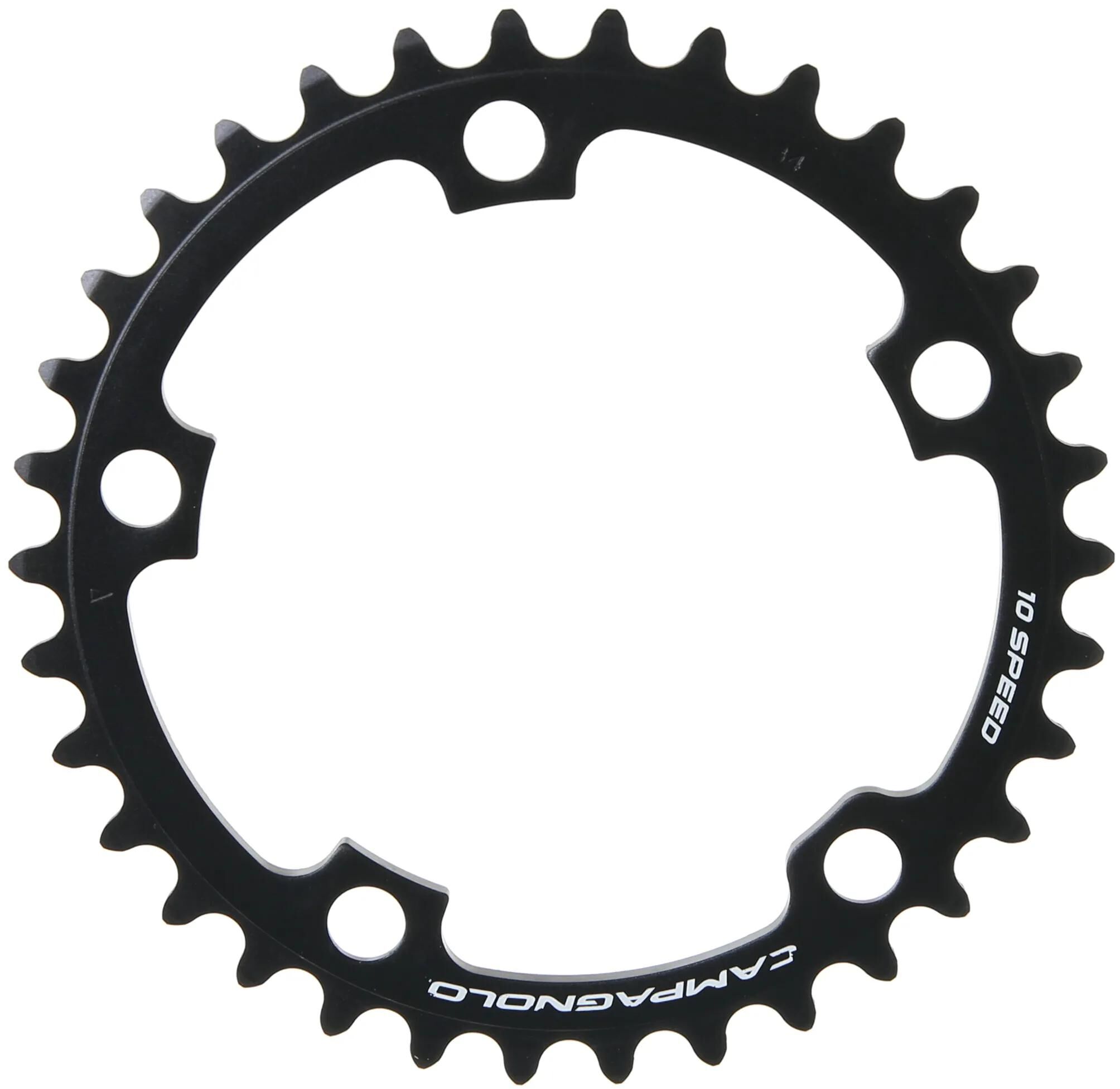 Campagnolo_Kettenblatt Kettenblätter