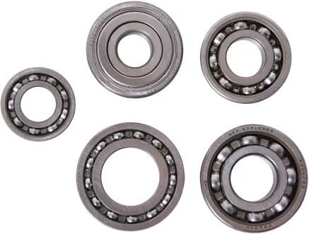 SKF_Motorlagersatz Motorlager-Sätze