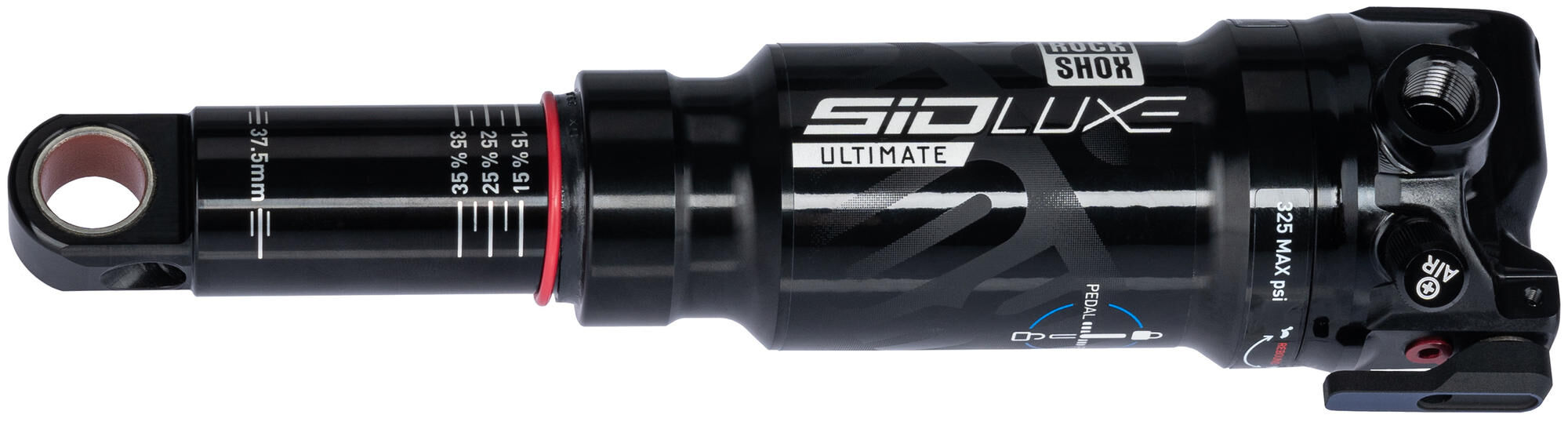 _Federbein Federbeine