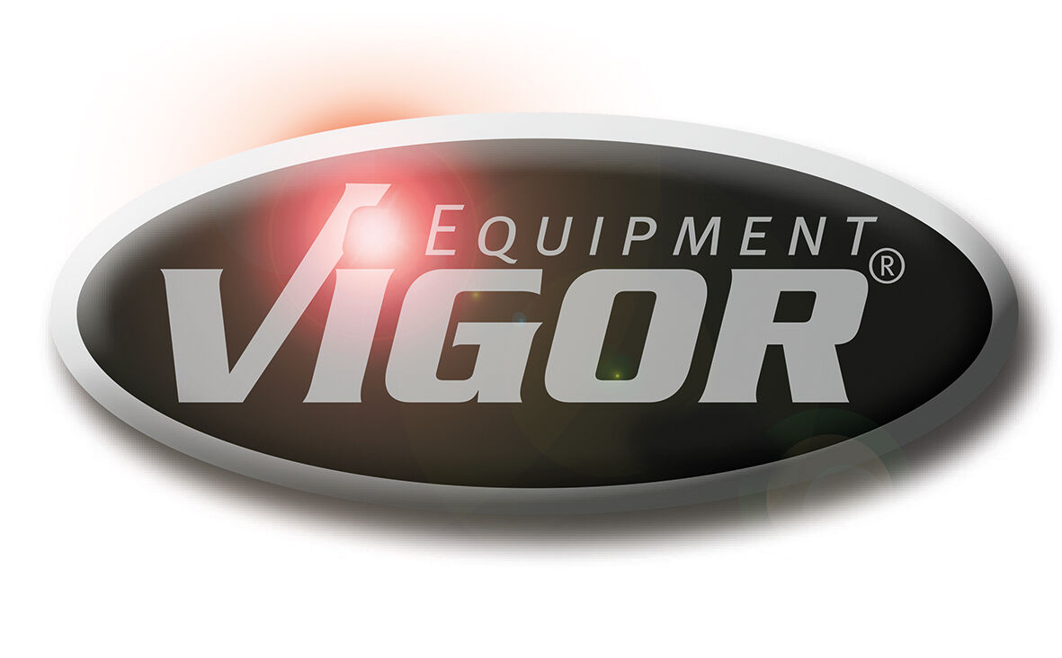 VIGOR VIGOR