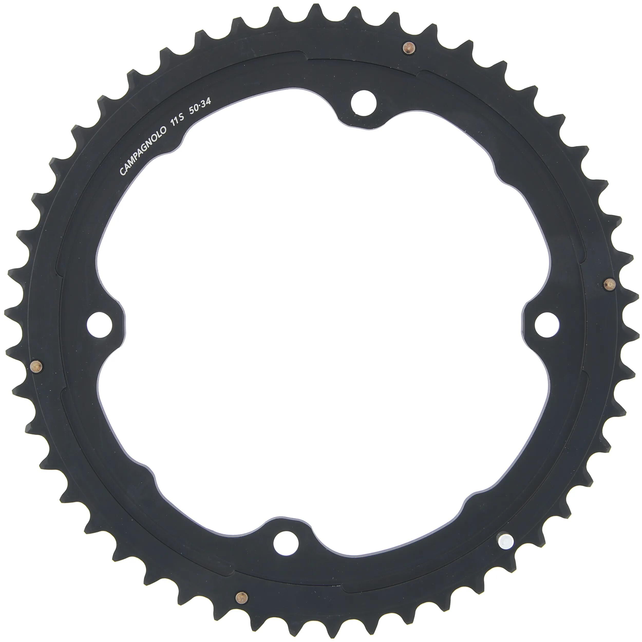 Campagnolo_Kettenblatt Kettenblätter