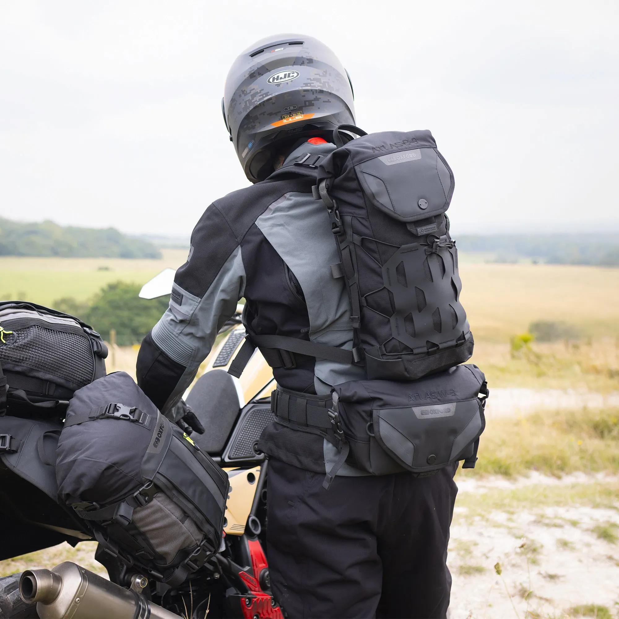 OXFORD_Bauchtasche Gürteltaschen,Taschen