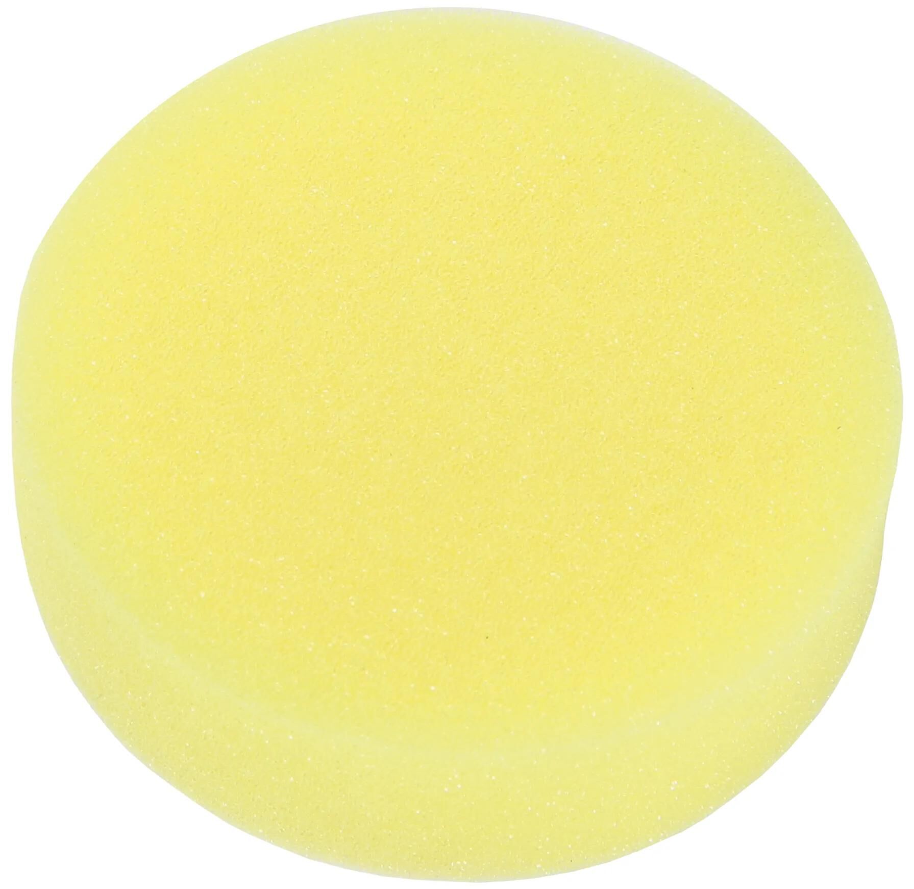 _Polierschwamm Polierscheiben