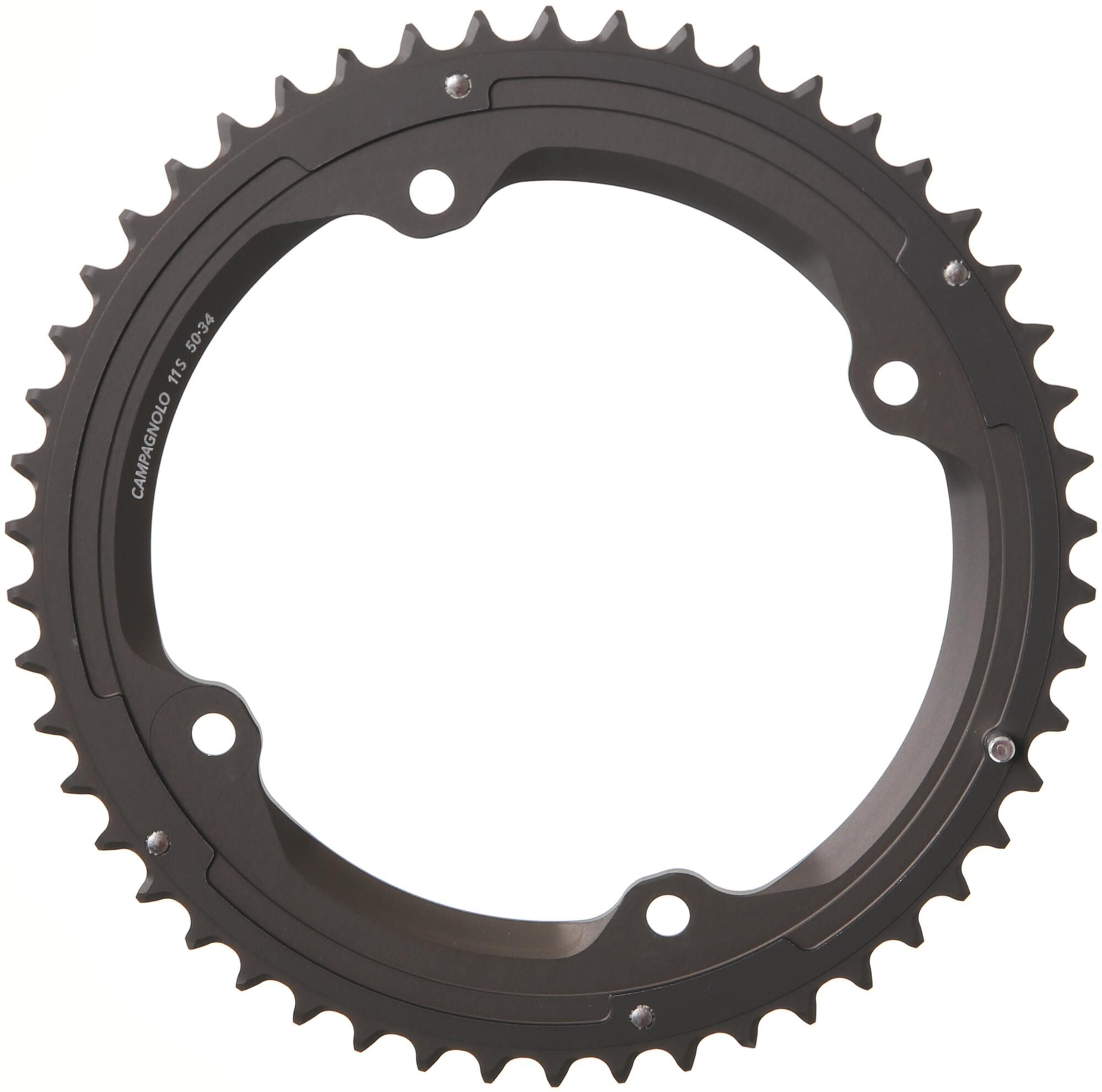 _Kettenblatt Kettenblätter