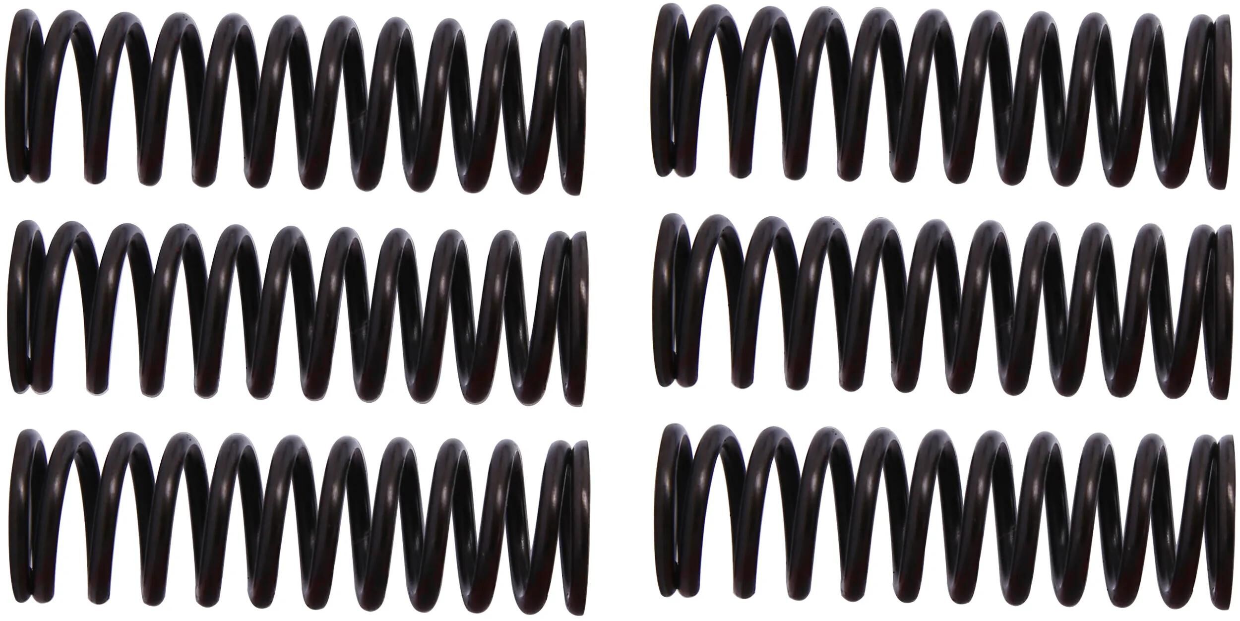 _Kupplungsfedernsatz Kupplungsfedern