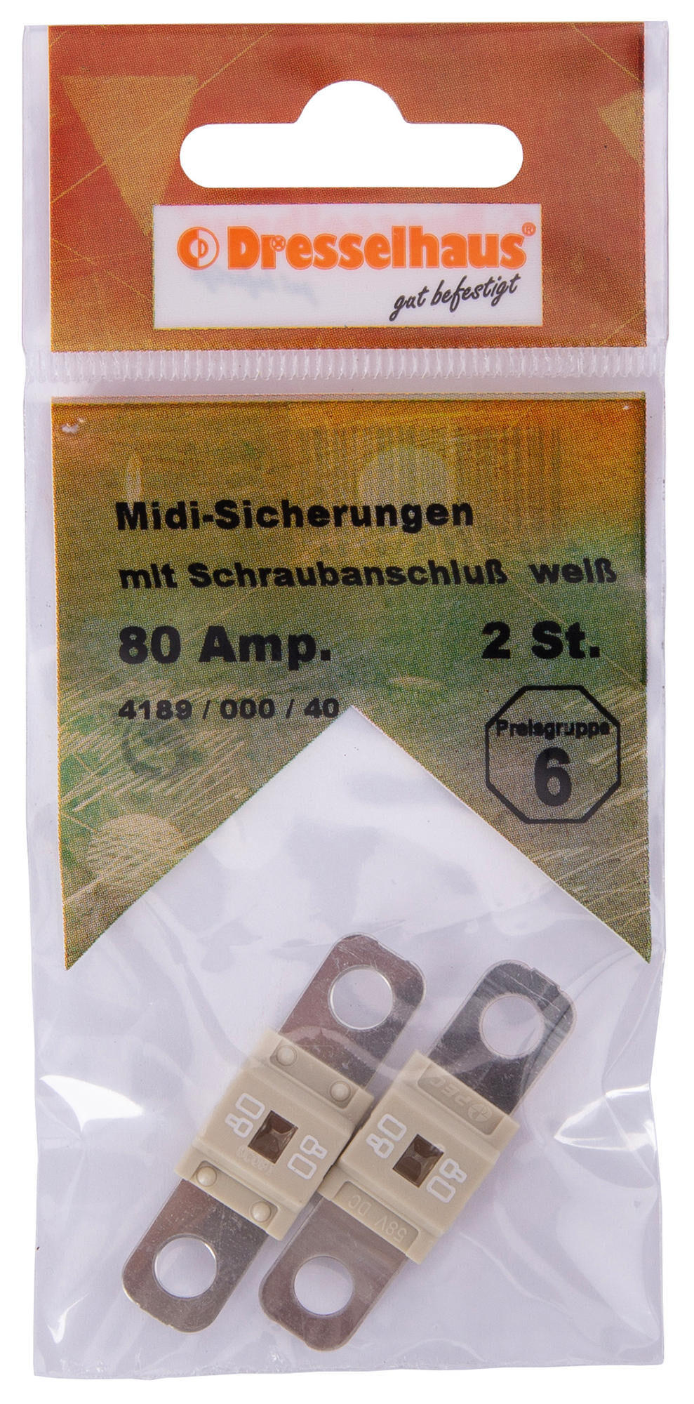 _Hochstromsicherung Sicherungen