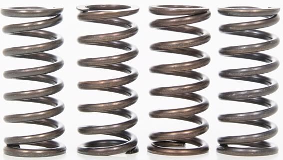 _Kupplungsfedernsatz Kupplungsfedern