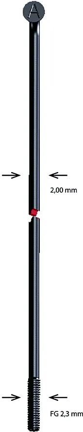alpina_Speiche Speichen