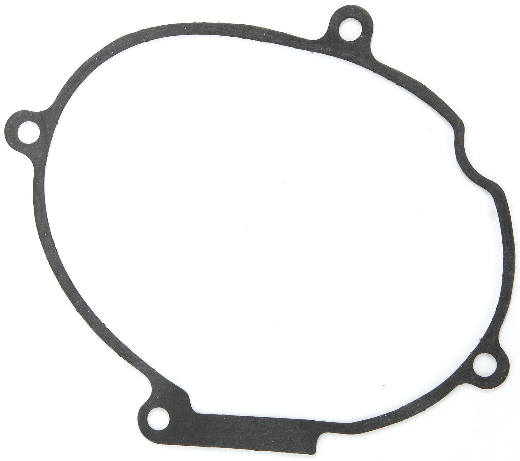 _Lichtmaschinendichtung Dichtungen und Dichtungssätze