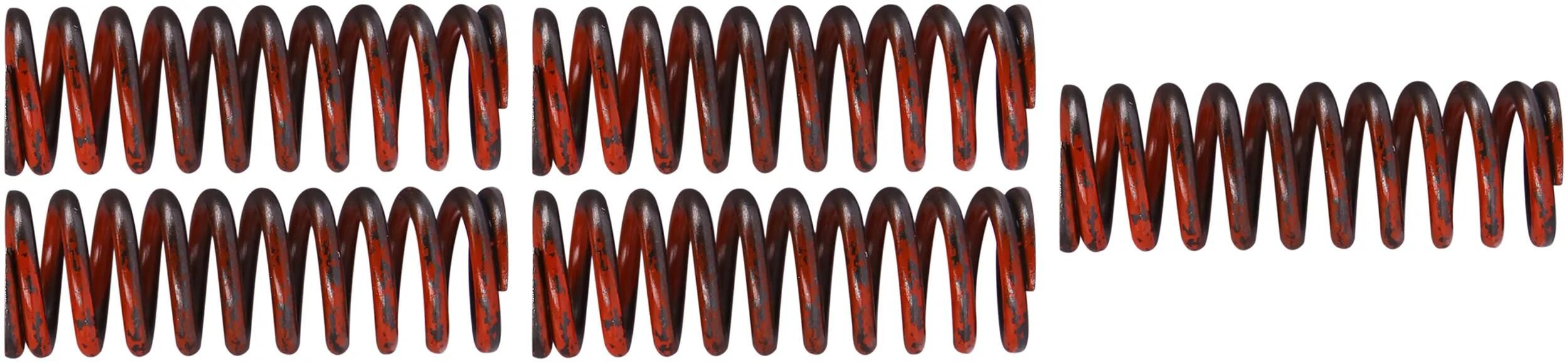 _Kupplungsfedernsatz Kupplungsfedern