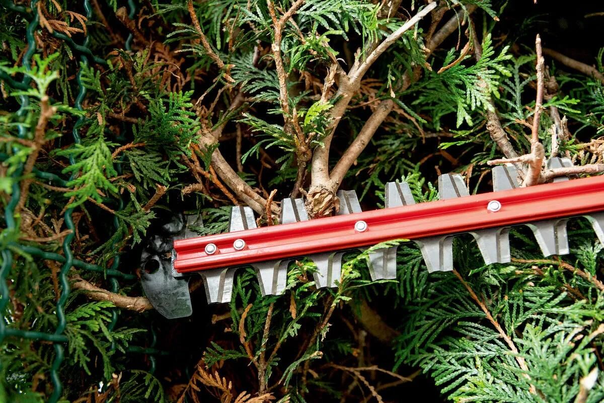 _Heckenschere Elektrowerkzeuge,Heckenscheren