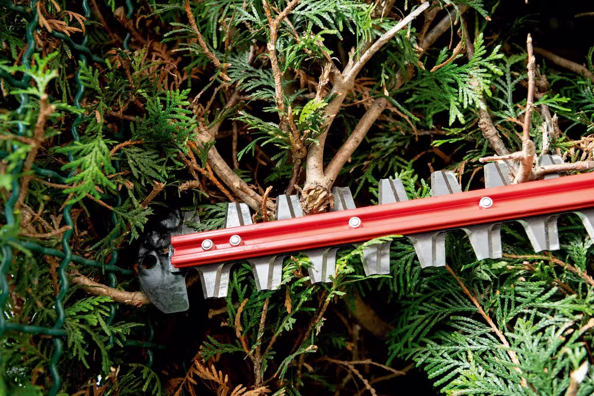 metabo_Heckenschere Elektrowerkzeuge,Heckenscheren