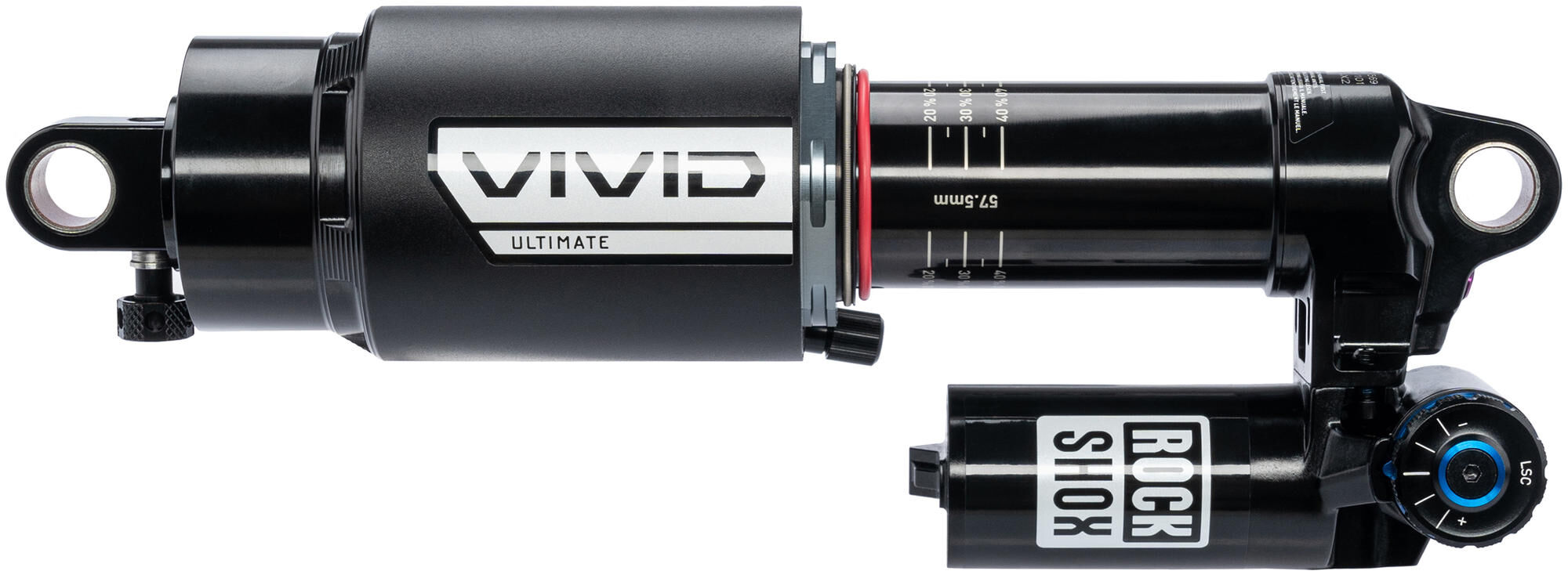 _Federbein Federbeine