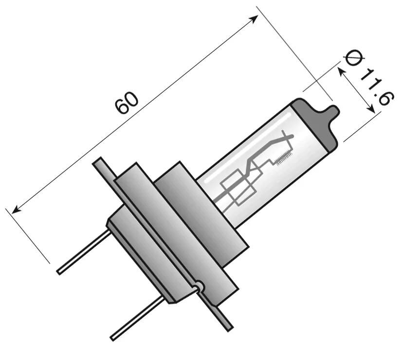 Birnen,Lampen,Glühlampen