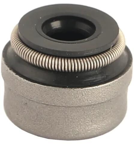 _Ventilschaftdichtung Dichtungen und Dichtungssätze