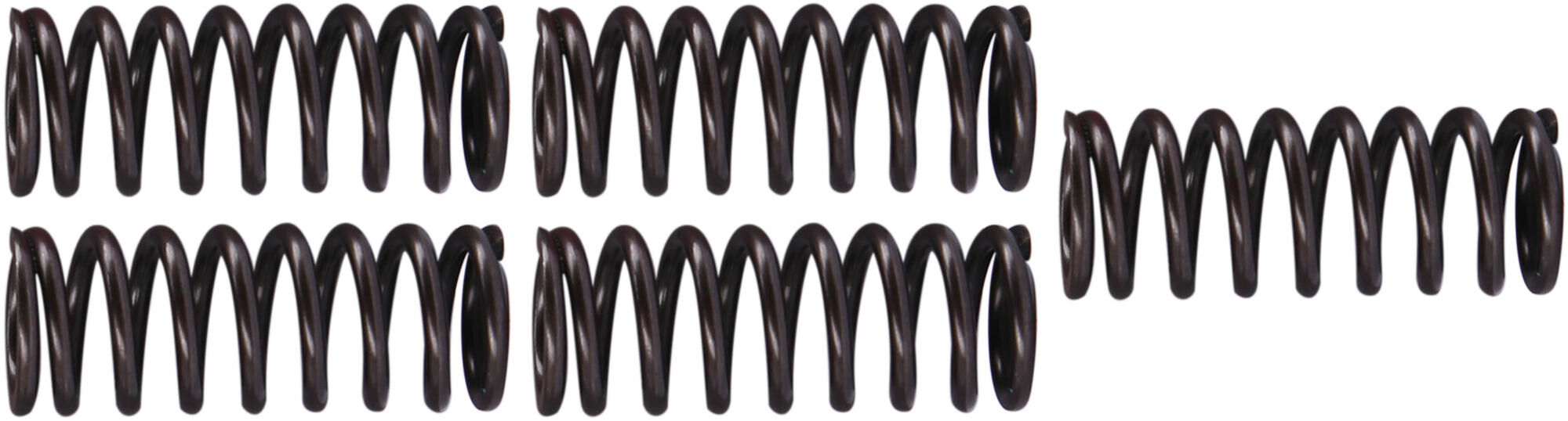 _Kupplungsfedernsatz Kupplungsfedern