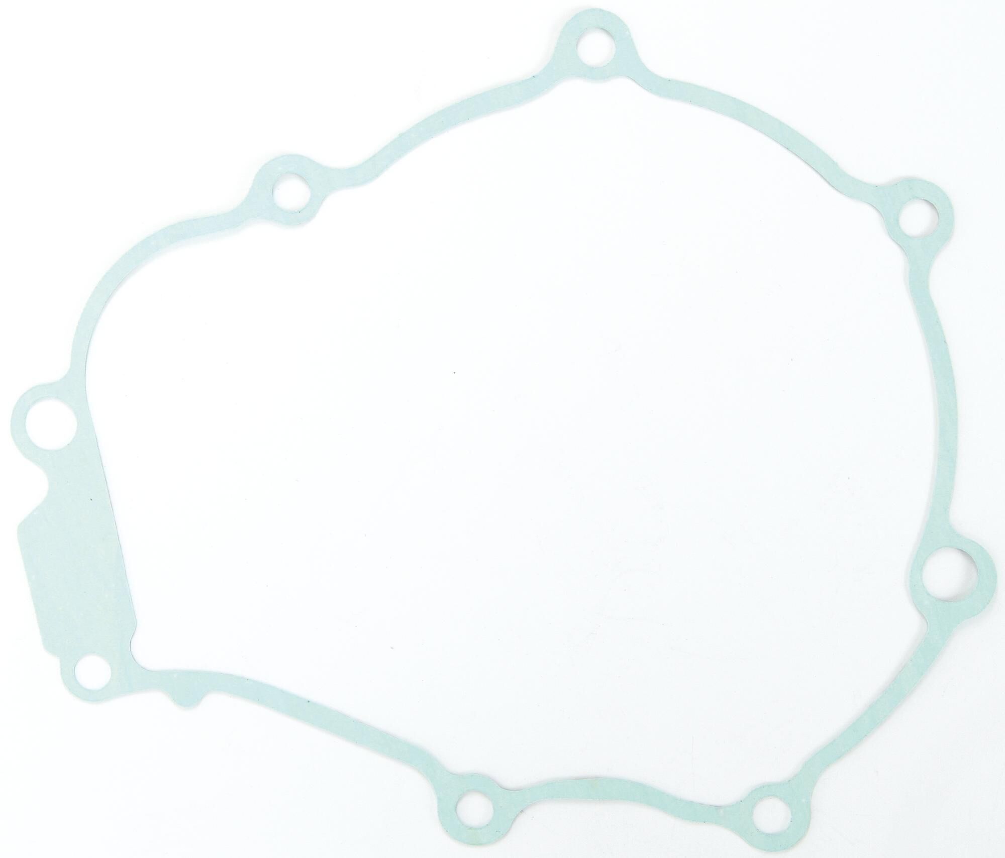 _Lichtmaschinendichtung Dichtungen und Dichtungssätze