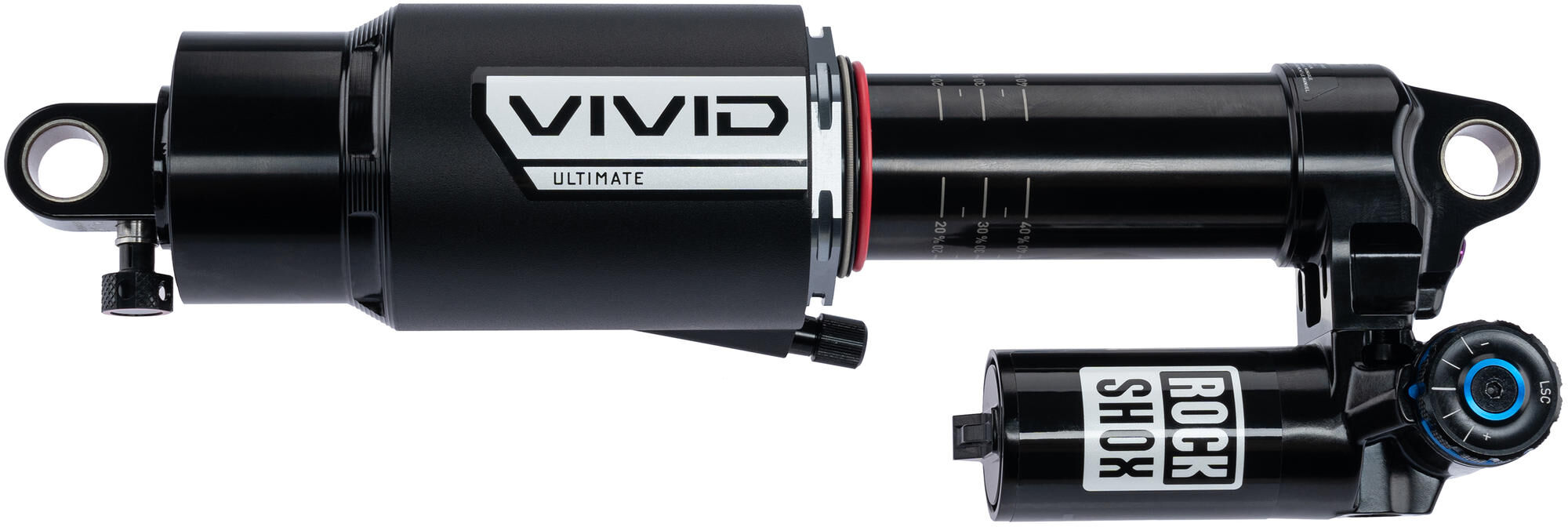 _Federbein Federbeine