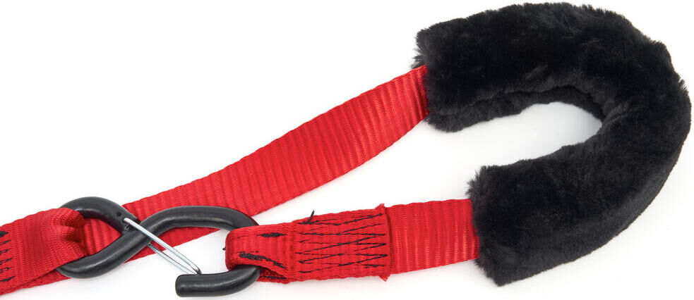 _Zurrgurtsatz Zurrgurte