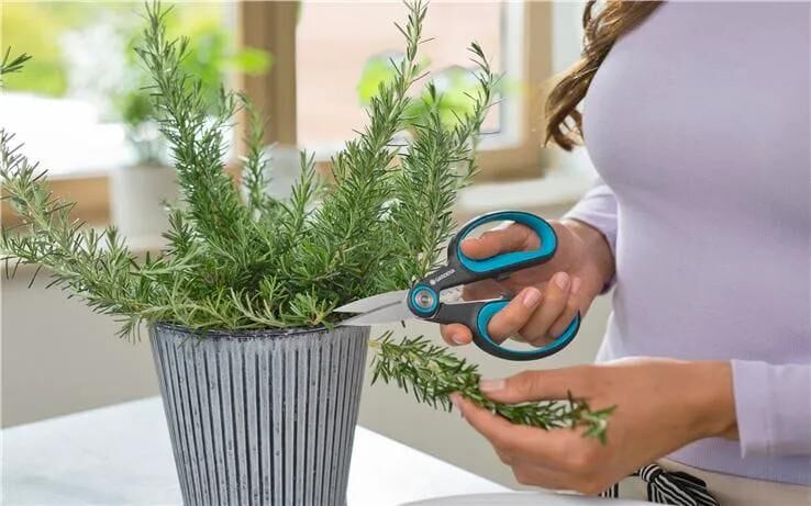 GARDENA_Schere Scheren