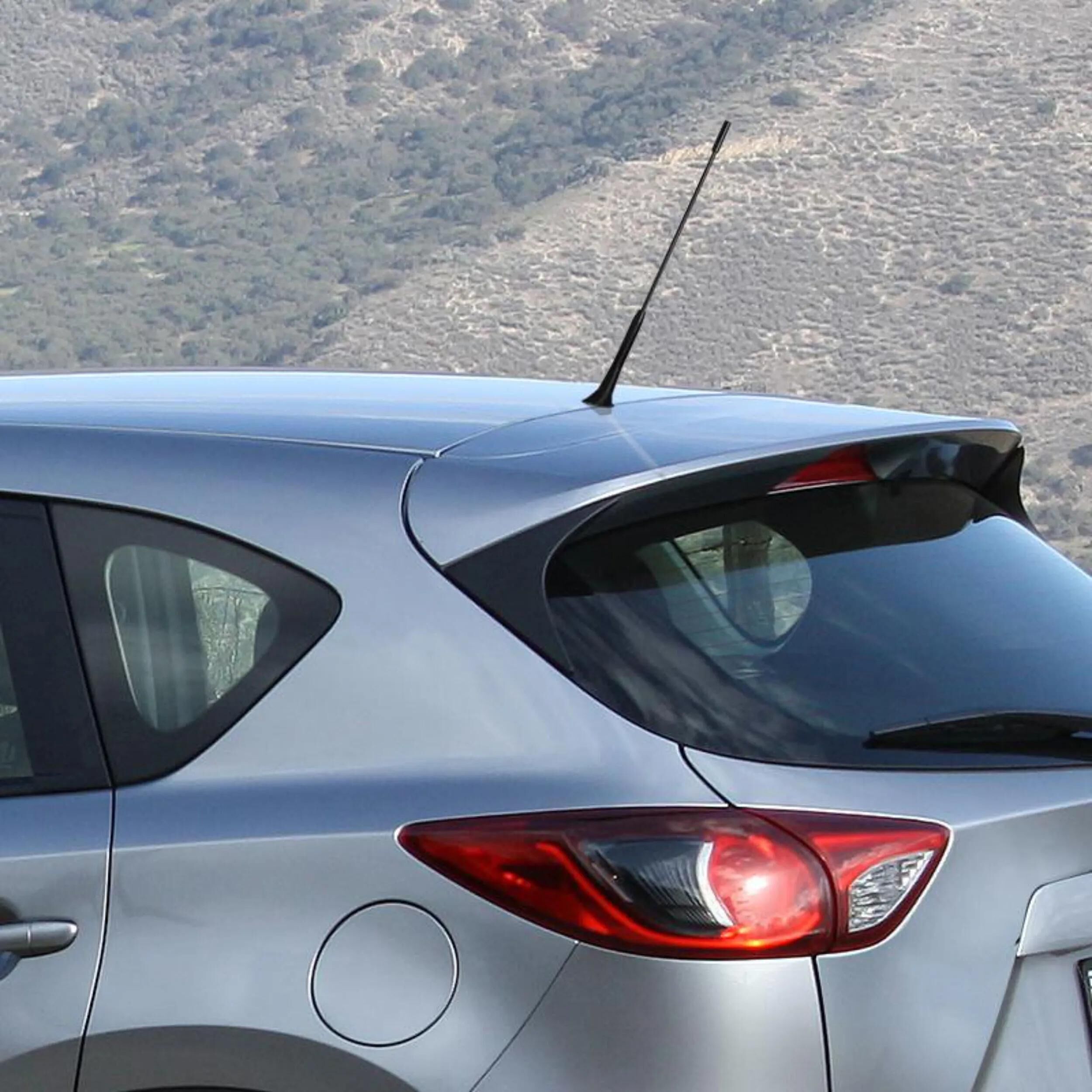 AUTOSTYLING SEEHASE_Autoantenne Antennen