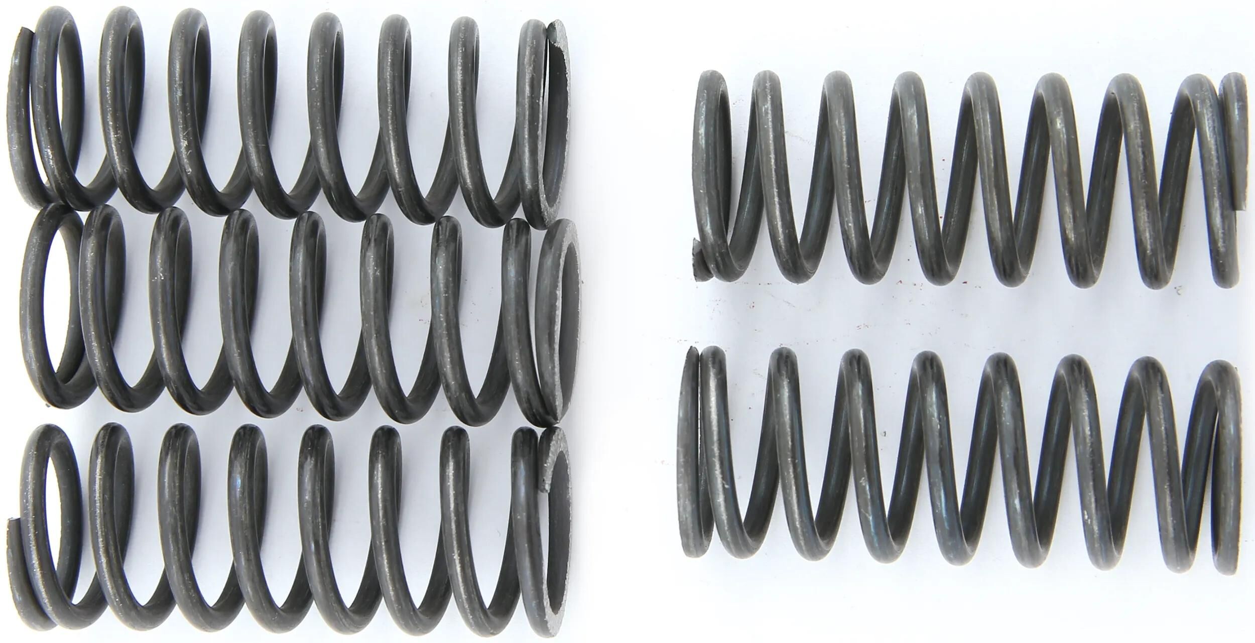 TRW_Kupplungsfedernsatz Kupplungsfedern