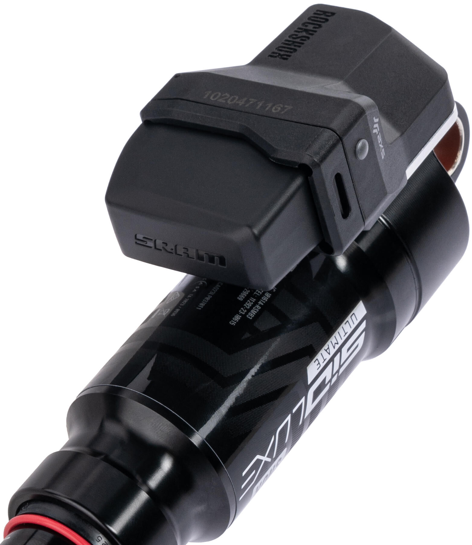 _Federbein Federbeine