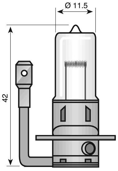 SPAHN_Scheinwerferlampe Birnen,Lampen,Glühlampen
