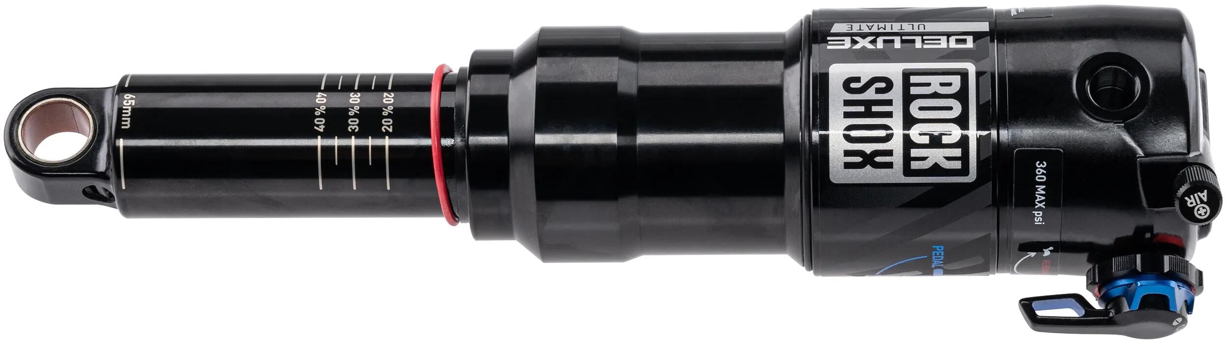 _Federbein Federbeine