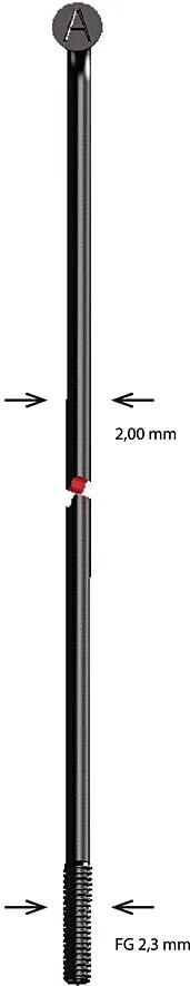 alpina_Speiche Speichen