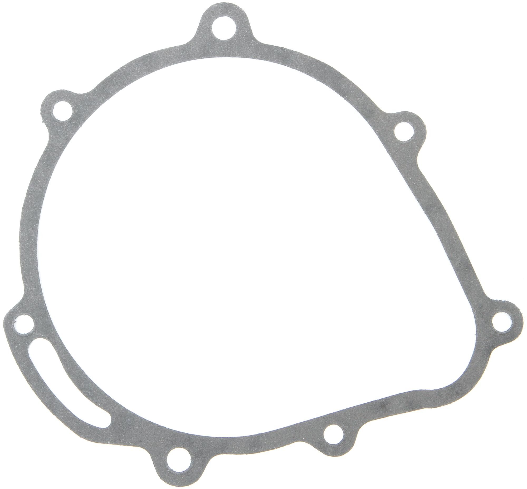 _Lichtmaschinendichtung Dichtungen und Dichtungssätze