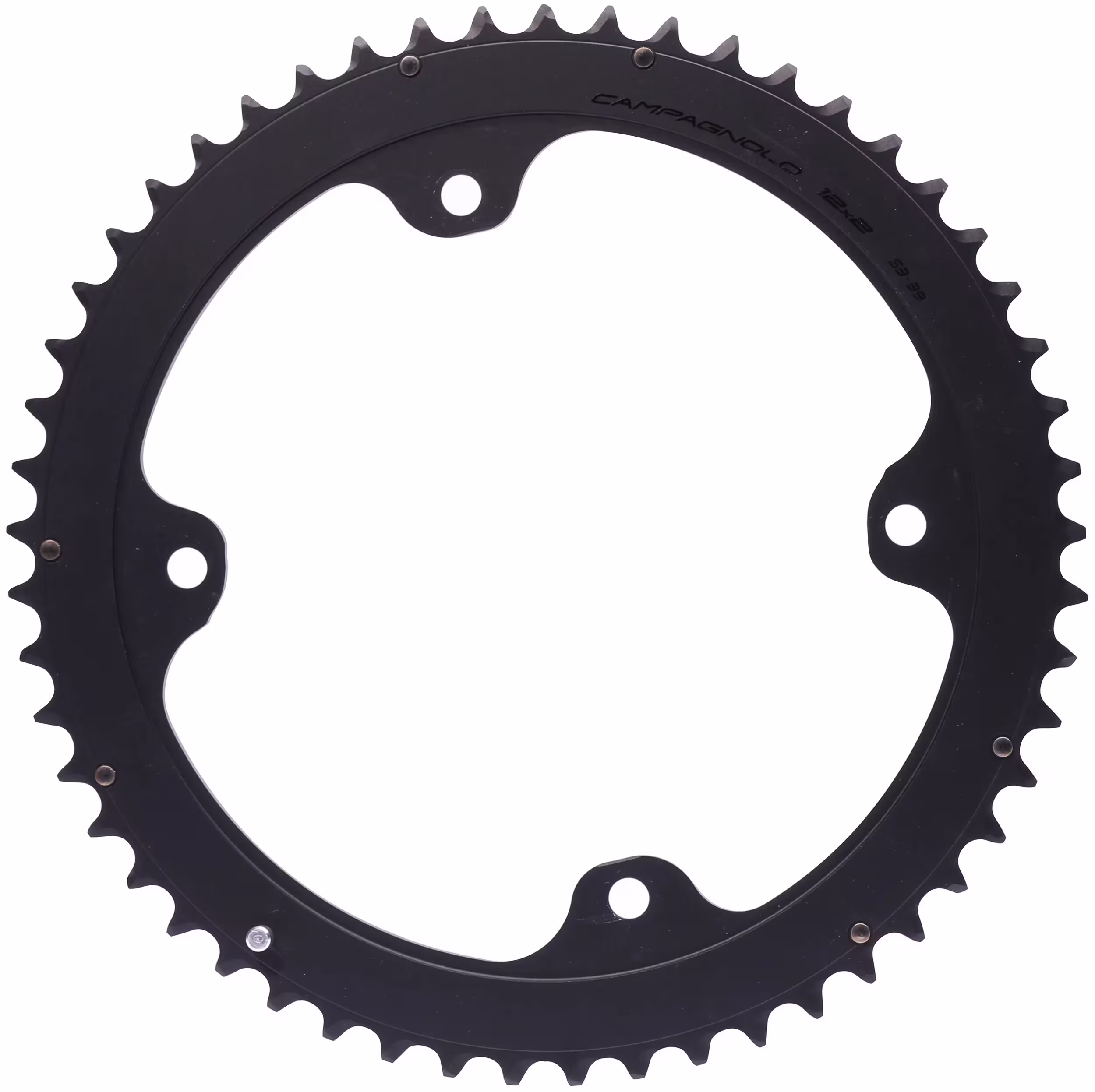 Campagnolo_Kettenblatt Kettenblätter