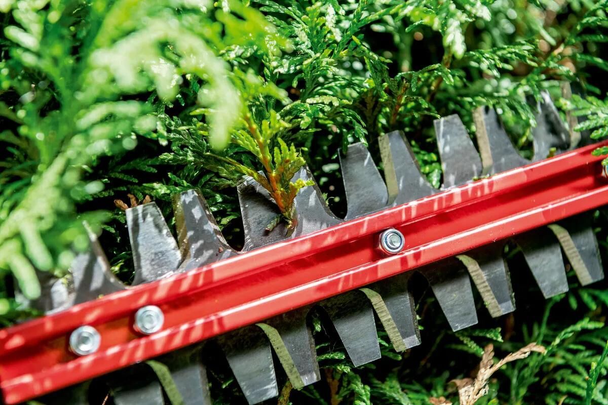 metabo_Heckenschere Elektrowerkzeuge,Heckenscheren