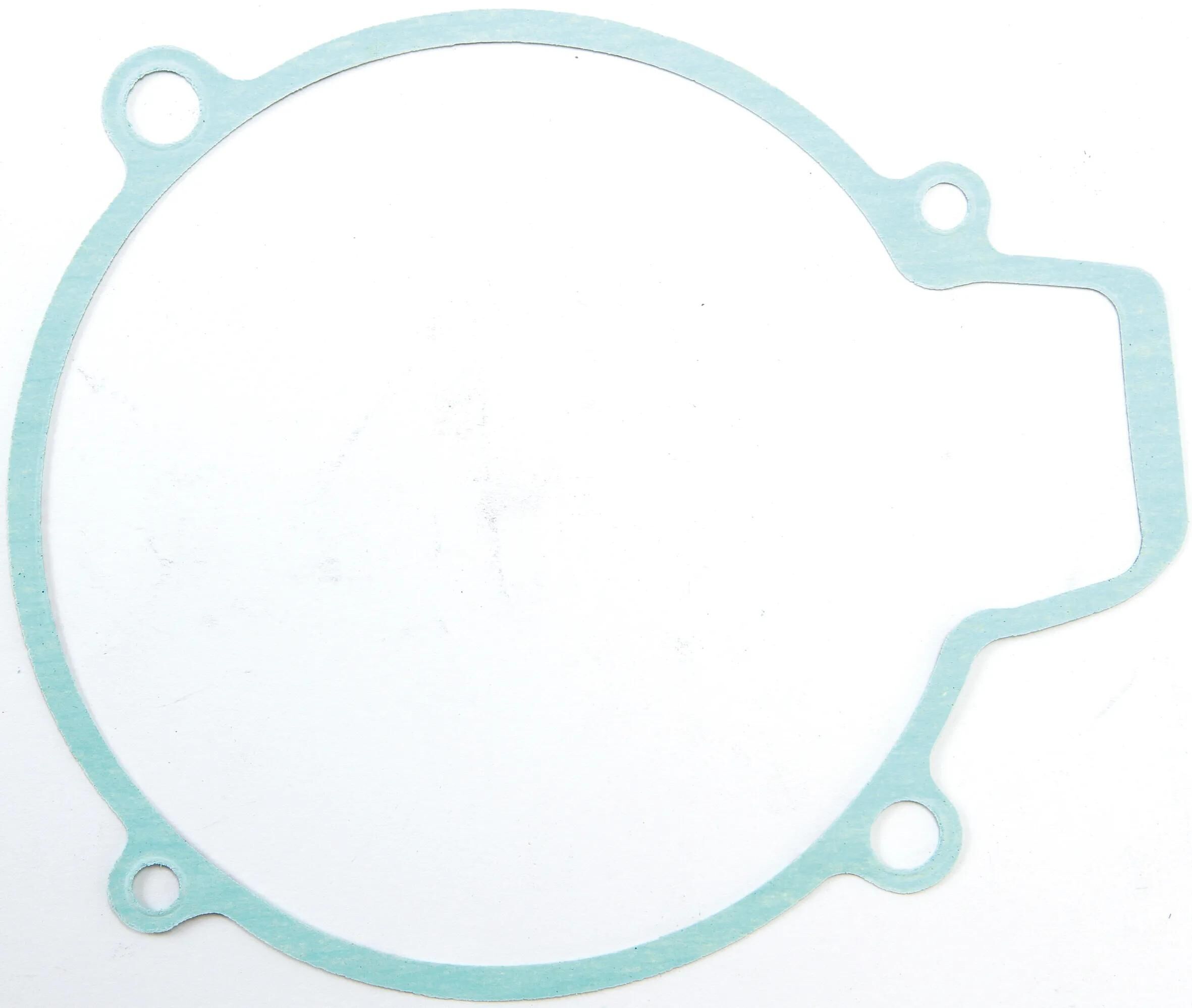 _Lichtmaschinendichtung Dichtungen und Dichtungssätze