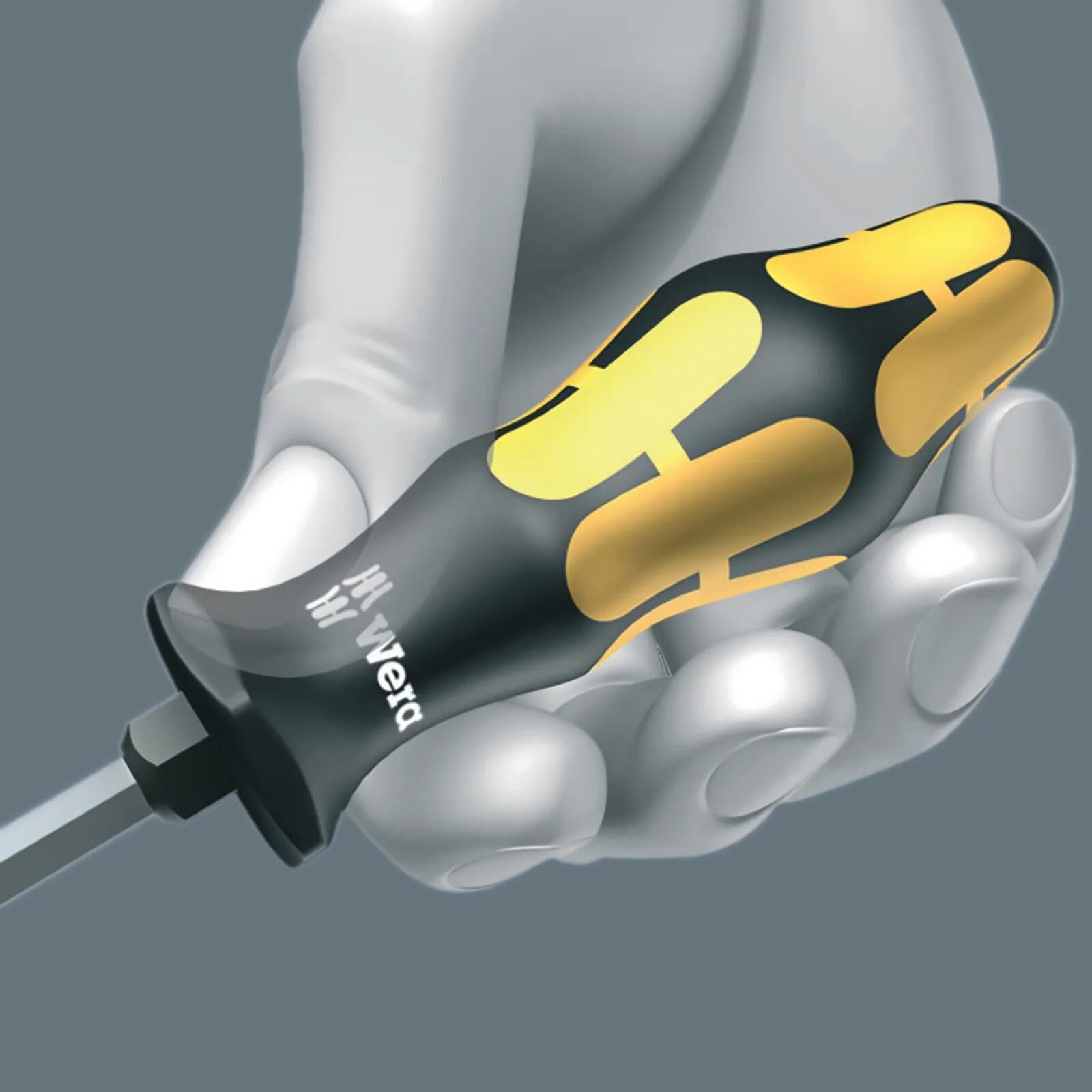 Wera_Schraubendreher Schraubendrehereinsätze - Phillips