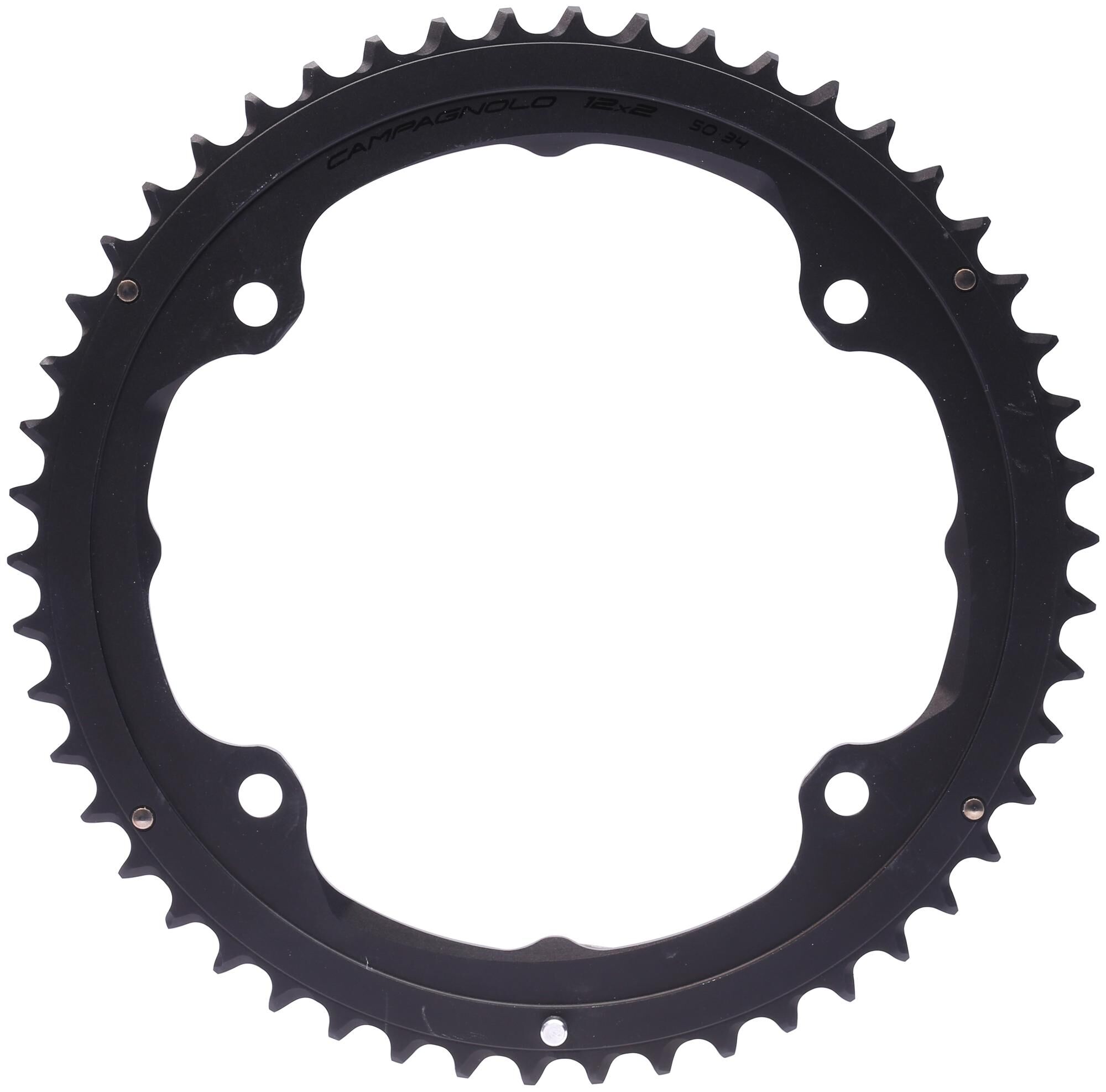 _Kettenblatt Kettenblätter