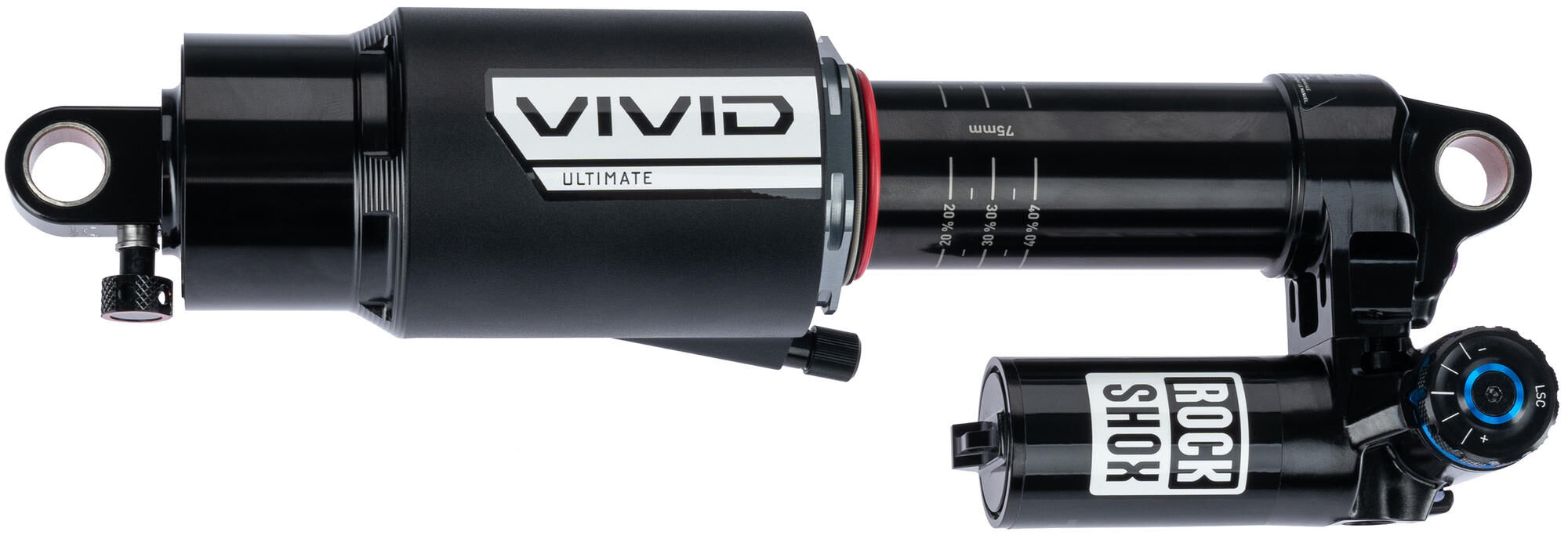 _Federbein Federbeine