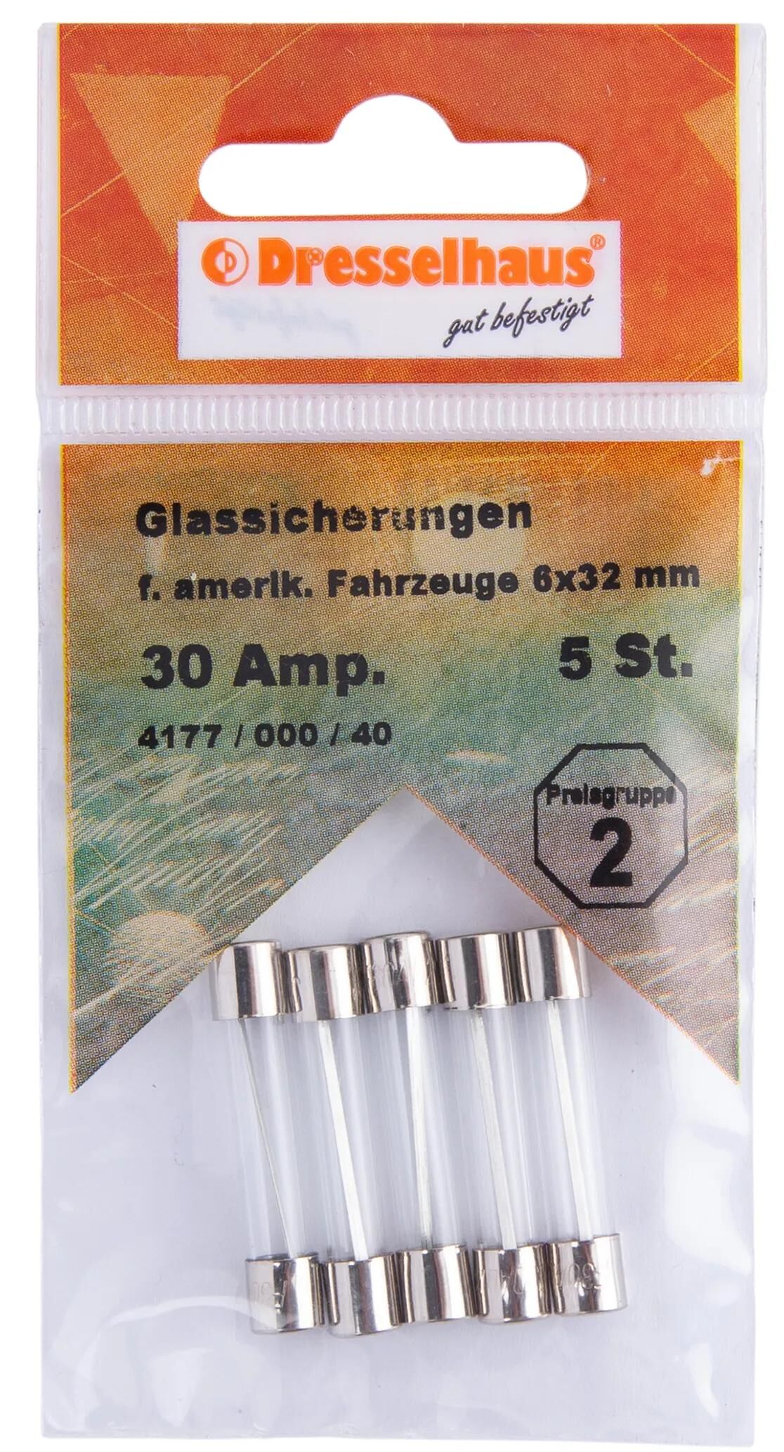 Dresselhaus_Glassicherung Sicherungen
