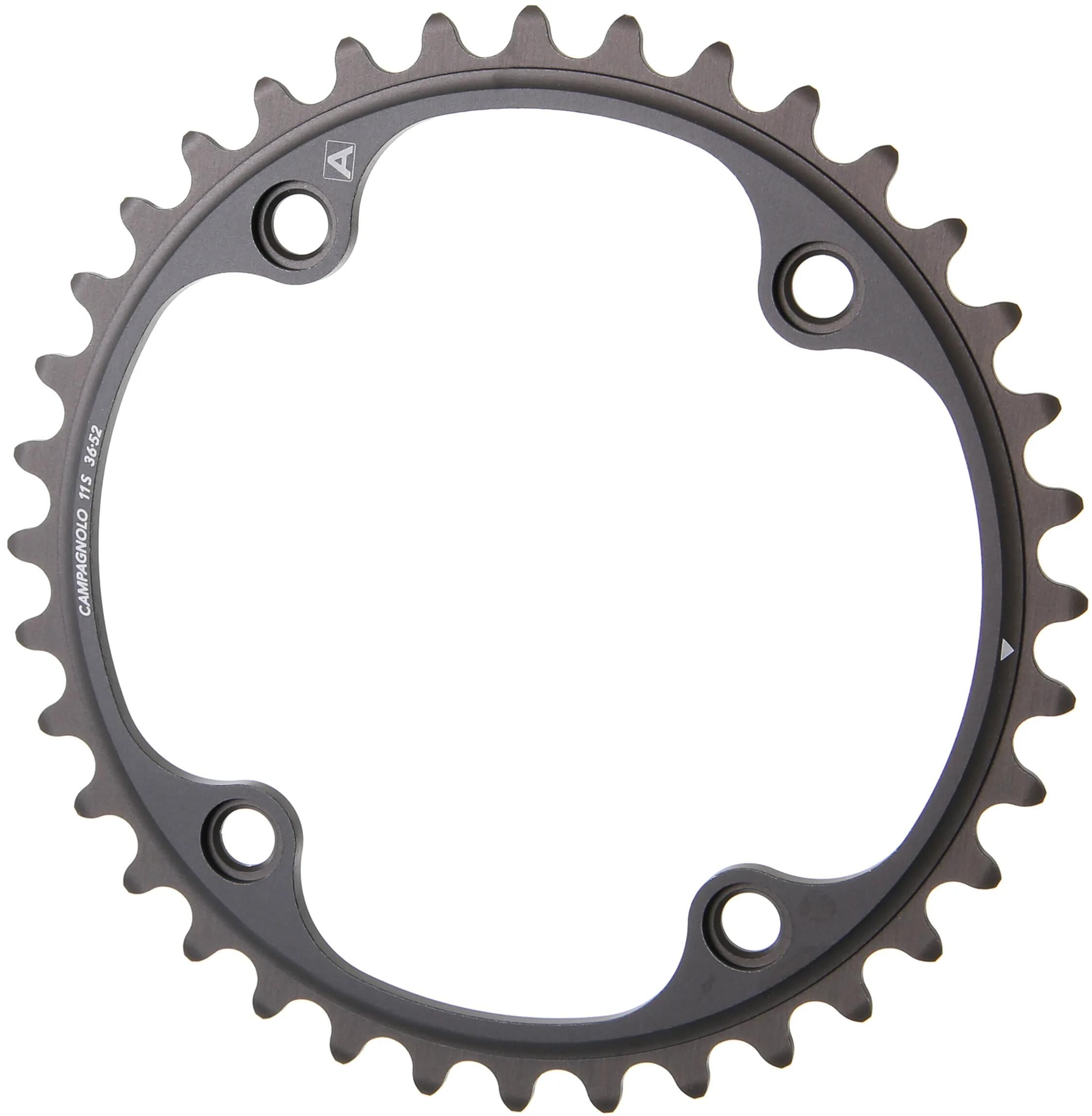 Campagnolo_Kettenblatt Kettenblätter