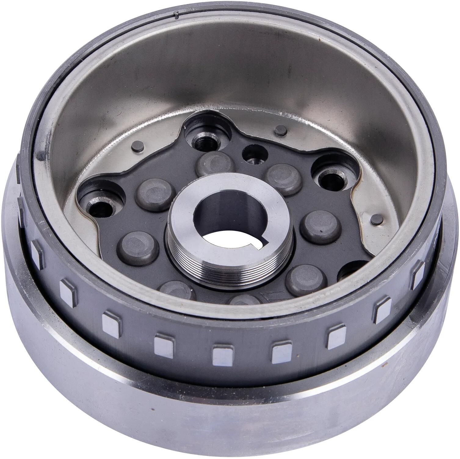 Piaggio OEM_Rotor Polräder,Rotoren