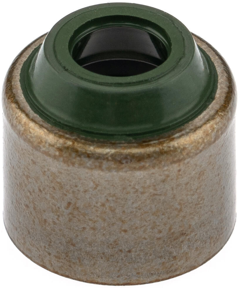 _Ventilschaftdichtung Dichtungen und Dichtungssätze