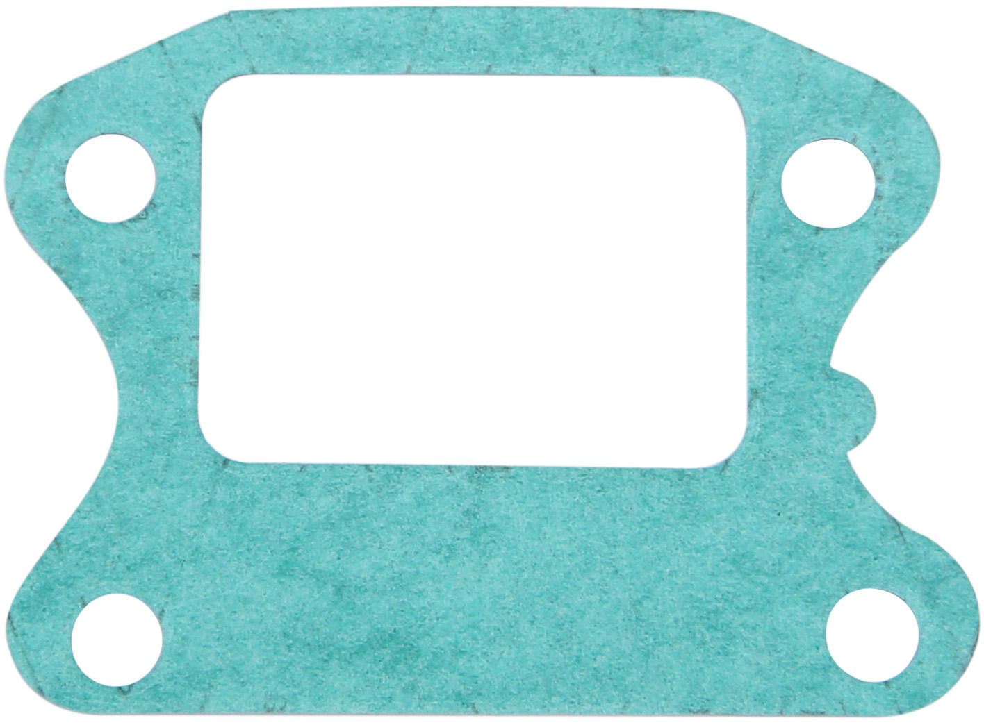 _Ansaugstutzendichtung Dichtungen und Dichtungssätze