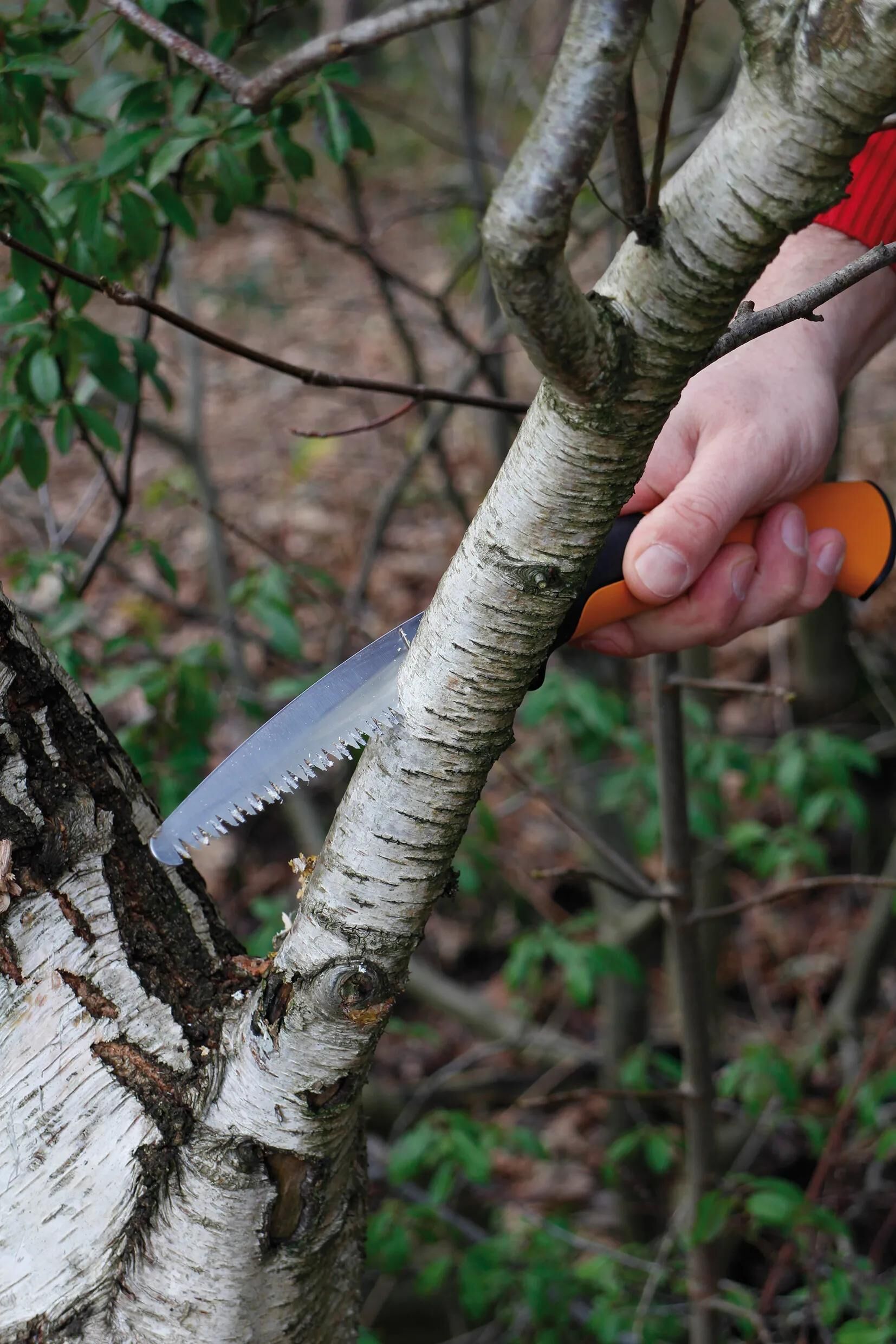 FISKARS_Handsäge Sägen