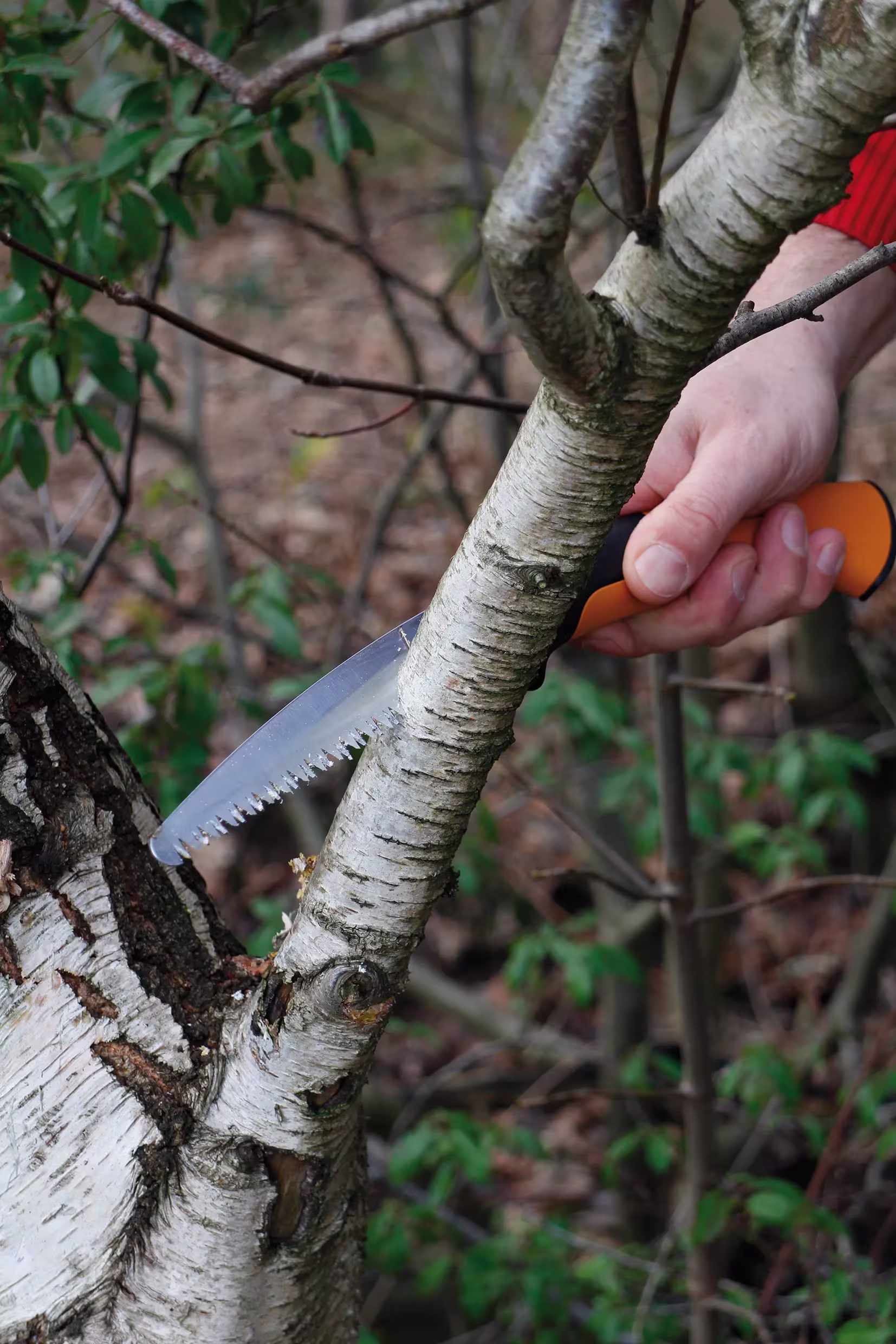FISKARS_Handsäge Sägen