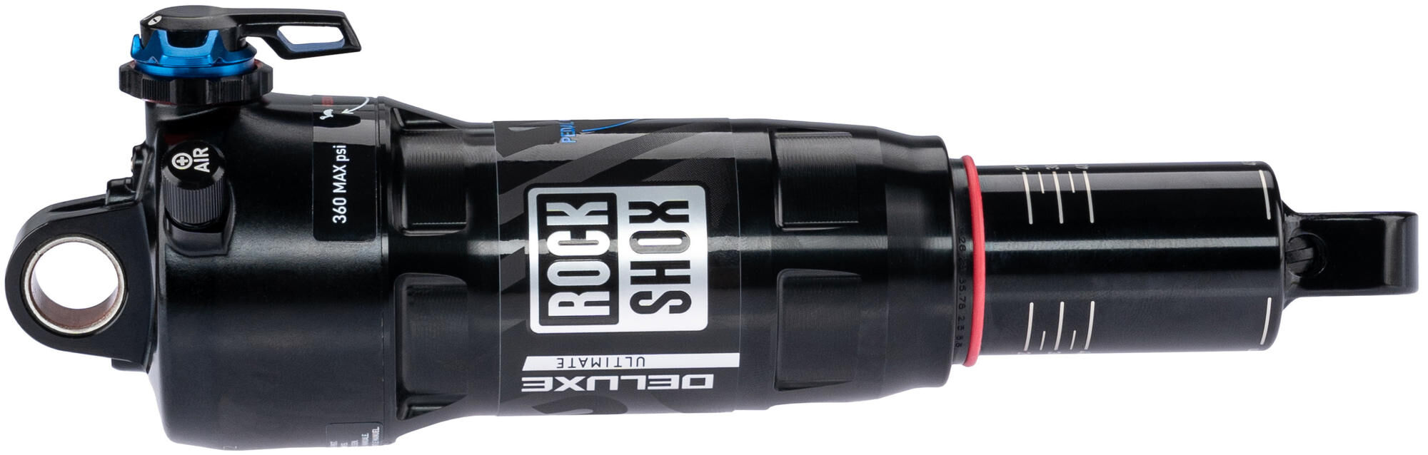 _Federbein Federbeine