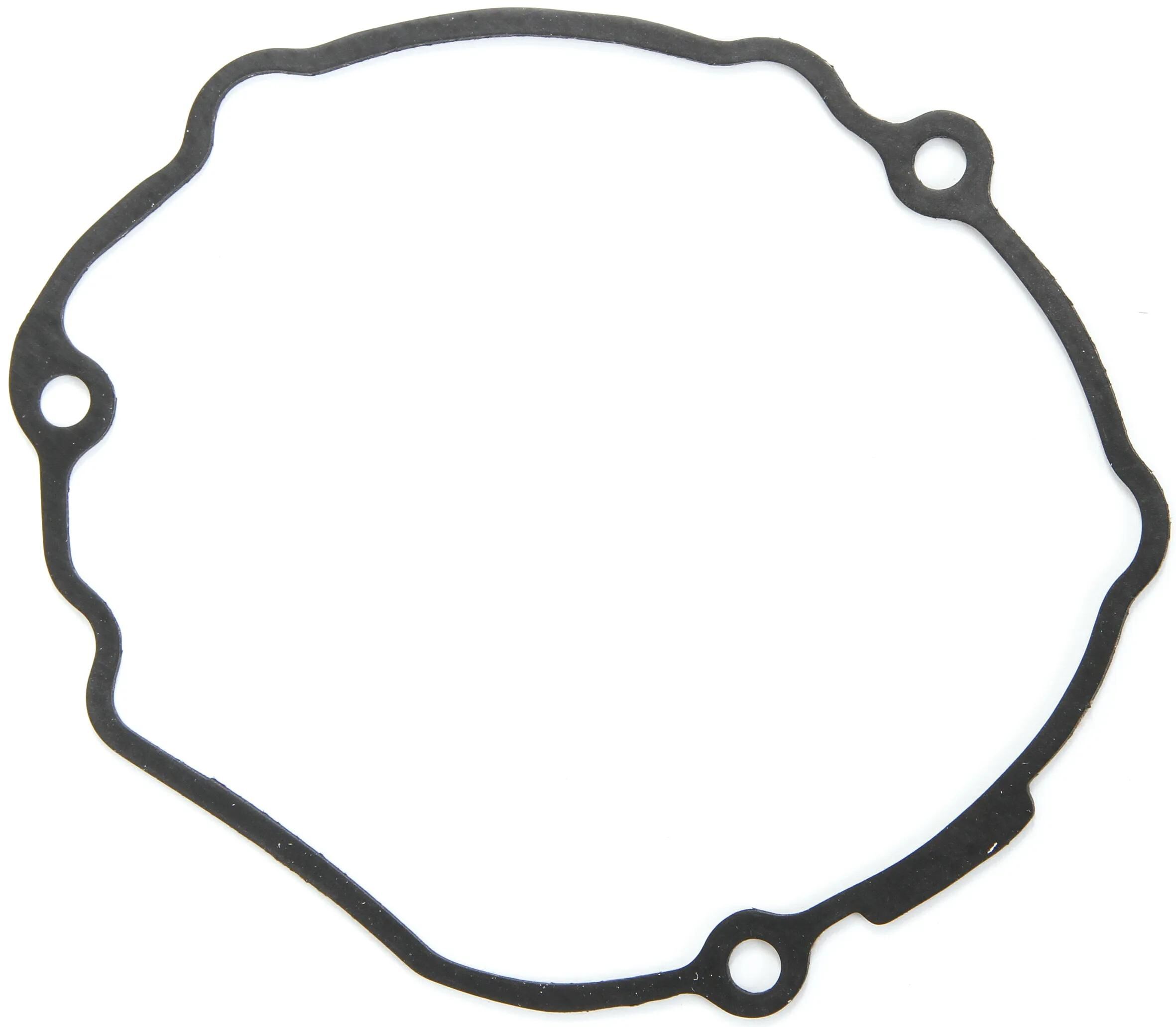 _Lichtmaschinendichtung Dichtungen und Dichtungssätze