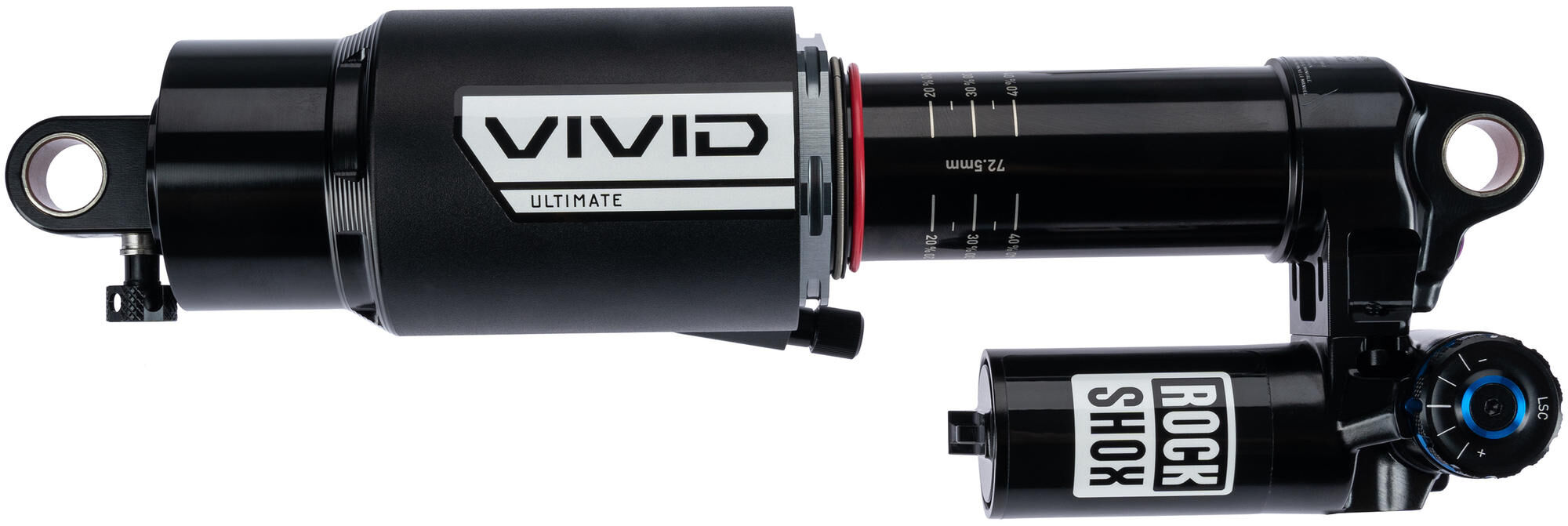 _Federbein Federbeine