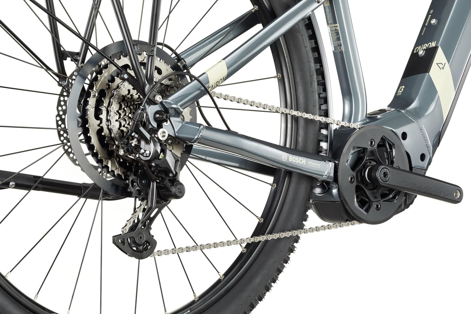 ,Hardtail
